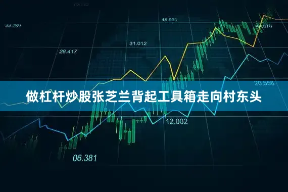 做杠杆炒股张芝兰背起工具箱走向村东头