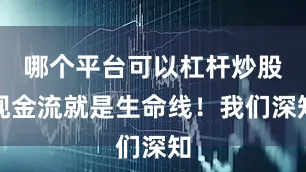 哪个平台可以杠杆炒股现金流就是生命线！我们深知