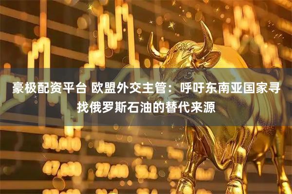 豪极配资平台 欧盟外交主管：呼吁东南亚国家寻找俄罗斯石油的替代来源